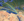 Plugin icon